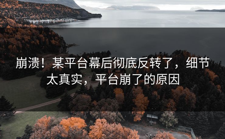 崩溃！某平台幕后彻底反转了，细节太真实，平台崩了的原因
