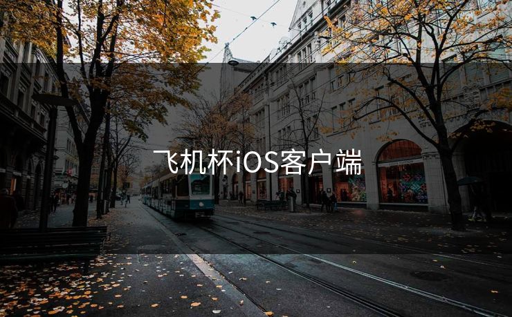飞机杯iOS客户端