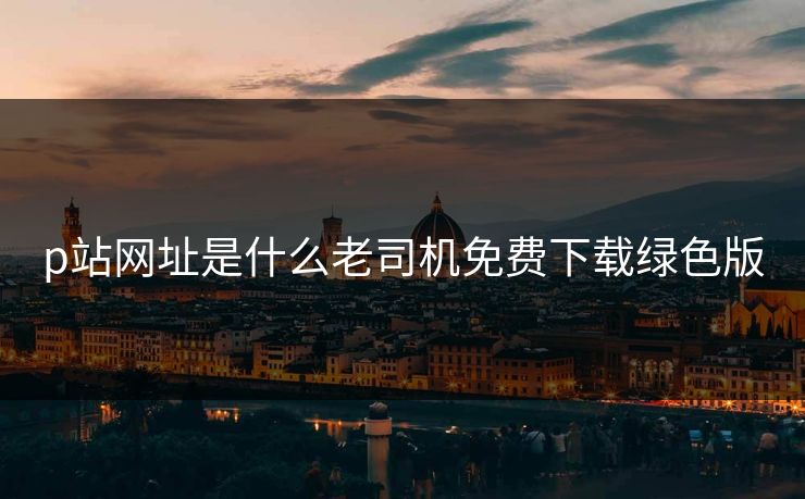 p站网址是什么老司机免费下载绿色版