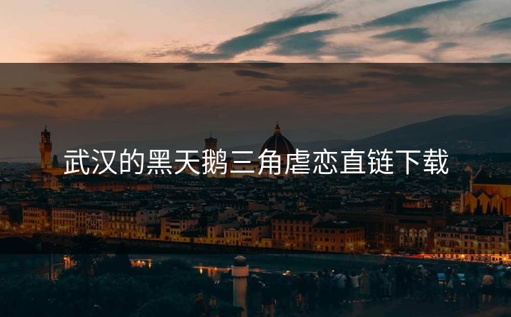 武汉的黑天鹅三角虐恋直链下载